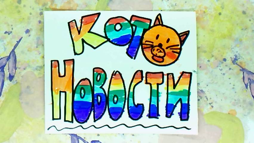Мультрепортаж "КОТОновости" Студия мультипликации "Пионер" г. Елец  10.25