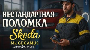 Skoda не глохнет даже без ключа - редкий случай из практики автоэлектрика