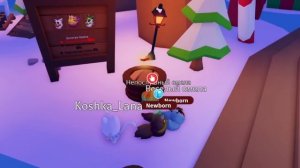 СКУПИЛА ВСЁ НА НОВЫЙ ГОД В АДОПТЕ!