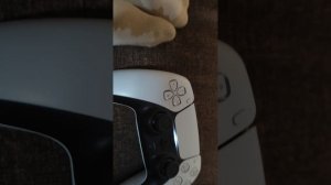 как играть на PlayStation 5 вдвоём в minecraft