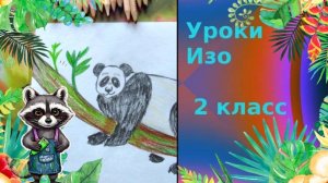 Рисуем панду карандашами. Урок ИЗО. Выражение характера изображаемых животных.