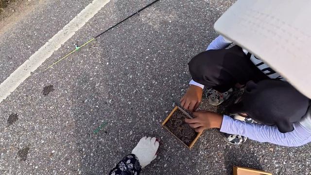 За один подъем 11 карасей,  рыбалка на паук подъёмник #рыбалка #낚시 #carpfishing #fishing