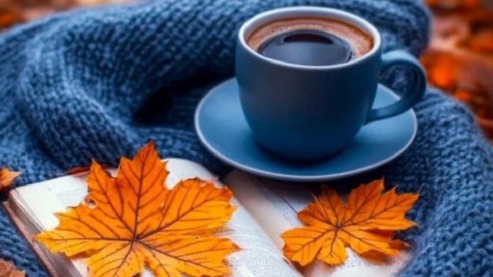 ФИКСИРОВАННЫЙ ОТВОРОТ НА ШАПКЕ 💥 НАЧИНАЮ НОВЫЙ ПРОЦЕСС 🔥 ПРОИЗВОДИТЕЛЬ ФИЛОНИТ🍀 смотреть онлайн