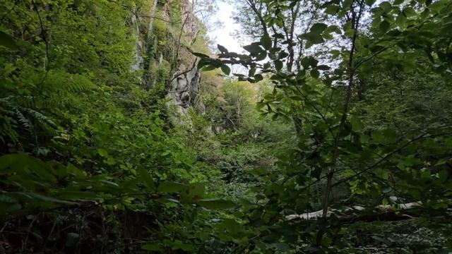 Волконский Дольмен и урочище "Два Брата". Место силы под Сочи.