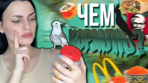 ЧТО ЕДЯТ МОИ ПОПУГАИ?!