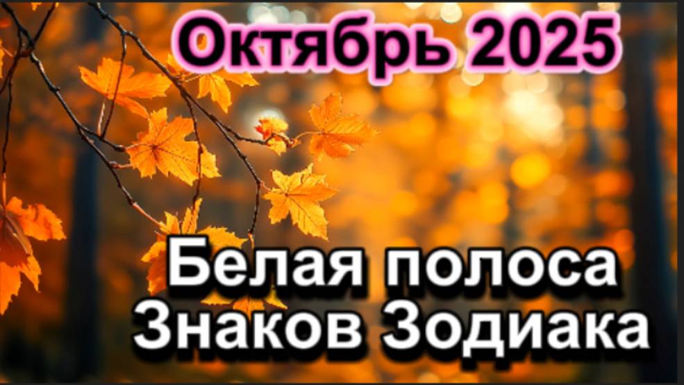 Октябрь 2025 ! Белая полоса Знаков Зодиака! смотреть онлайн