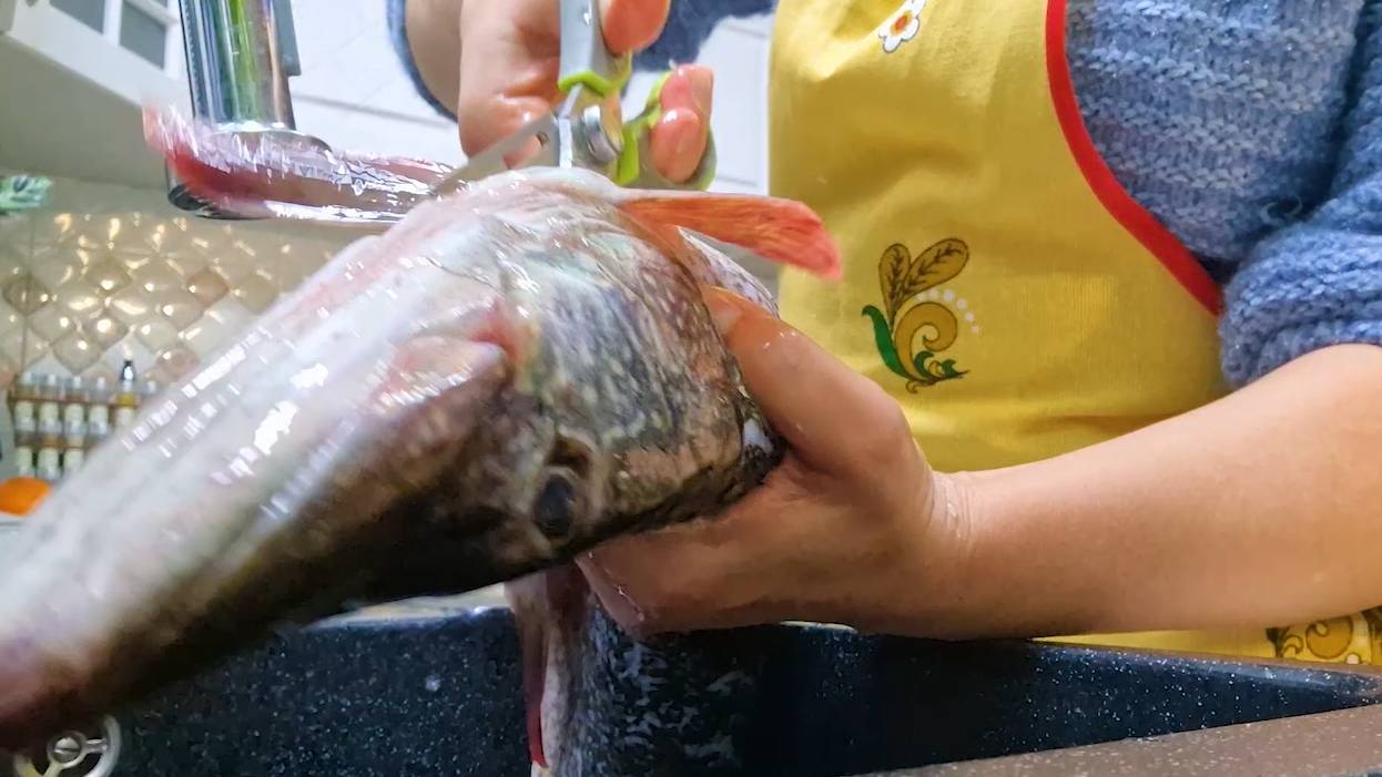 Обзор продуктовой закупки. Вновь переживательно за посылку 🥺 Чищу и жарю щуку 🤤 смотреть онлайн