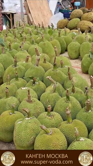 ЛУЧШИЙ ТРОПИЧЕСКИЙ ФРУКТ 😋🔥 #еда #вкусно #джекфрут #фрукты #летнийрецепт #десерт #закуска #перекус