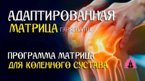 Для коленного сустава  🌀 Адаптированная программа матрица ☀️ SoftRadio.ru