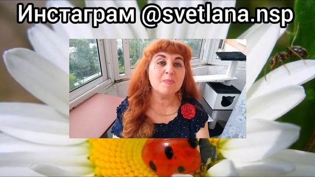 КТО ДАСТ ГАРАНТИИ НА ПУТИ ОЗДОРОВЛЕНИЯ?//Анохина С.Г. смотреть онлайн