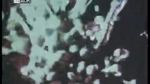 Владимир Иванович Вернадский. Биосфера. (Киевская студия научно-популярных фильмов)