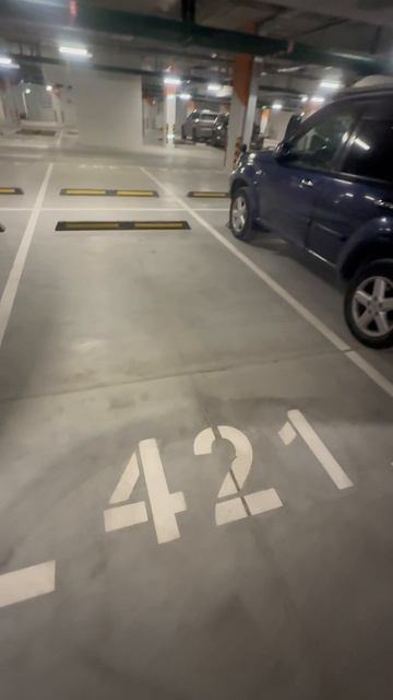 Вас бы беспокоило, если ваш автомобиль оставлял бы масляные пятна? смотреть онлайн