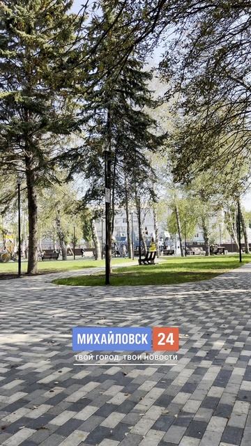 🌳 Тихий день в сквере Молодёжный.