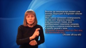 Семя. Библейский словарь.