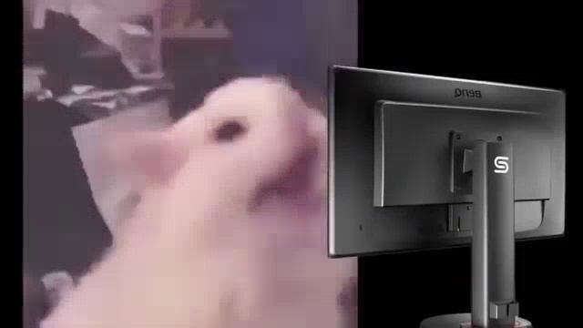 😂😂😂😂😂😂😂😂 смотреть онлайн