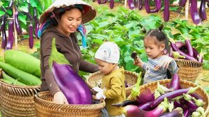 Сбор урожай баклажанов и больших тыкв для продажи на рынке. Жизнь во Вьетнаме