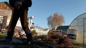 РАБОТАЕМ В ОГОРОДЕ, КОПАЕМ, УБИРАЕМ.
