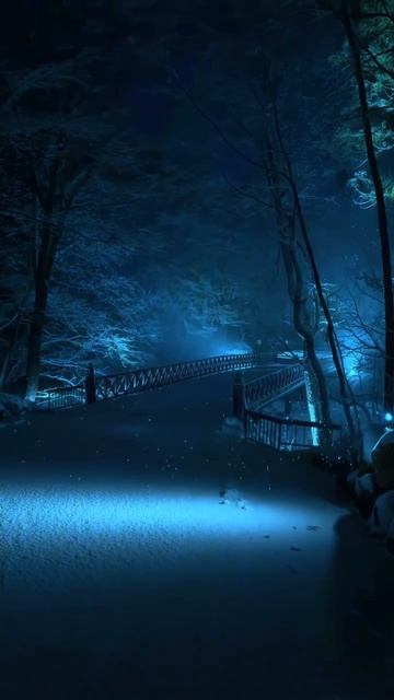 эстетика лес