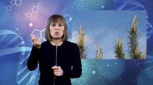 Эволюция - лжерелигия.