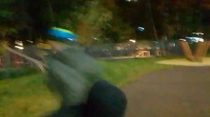 99 ночей в лесу в реальности