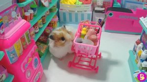 ХОМЯЧКИ в СУПЕРМАРКЕТЕ или ДЕНЬ ПОКУПОК у СНЕЖКИ СТЕПАНОВНЫ