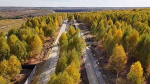 Шишкино 04.10.2025