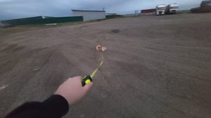 1000 раз поставил роспись / ВЗЯЛ С СОБОЙ НАПАРНИКА ГАВ ГАВЫЧ #камаз5490 #ДАЛЬНОБОЙ