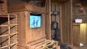 НАШЕ ПУТЕШЕСТВИЕ В КОПЕНГАГЕН! (недовлог)