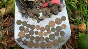 Новое место удивило находками!