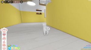МЕРДЕР, НО МЫ КОШКИ! Roblox Cat Murder Mystery