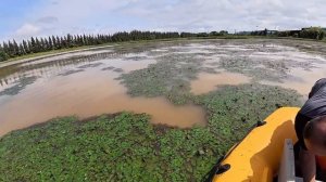 Сазан просто кишит. Настреляли на рогатку полный ящик .  #fishing #낚시 #automobile