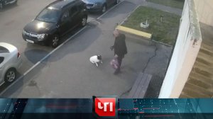 «ЧП»: 7 октября 2025 года | «Чрезвычайное происшествие» на НТВ