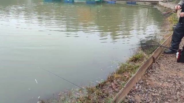 WhatsApp Video 2025-10-07 at 10.13.17 смотреть онлайн