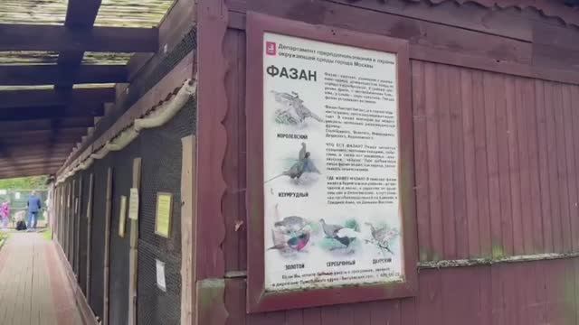 Каждый охотник желает знать, где сидит фазан))