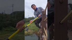 Как ловят кету на дергач в Корее #fishing #рыбалка #낚시 #carpfishing #автомобили #кино