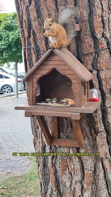 07-10-2025 смотреть онлайн