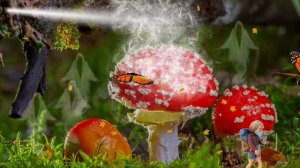 ФУТАЖ  ВОЛШЕБНО - СКАЗОЧНЫЙ ЛЕС