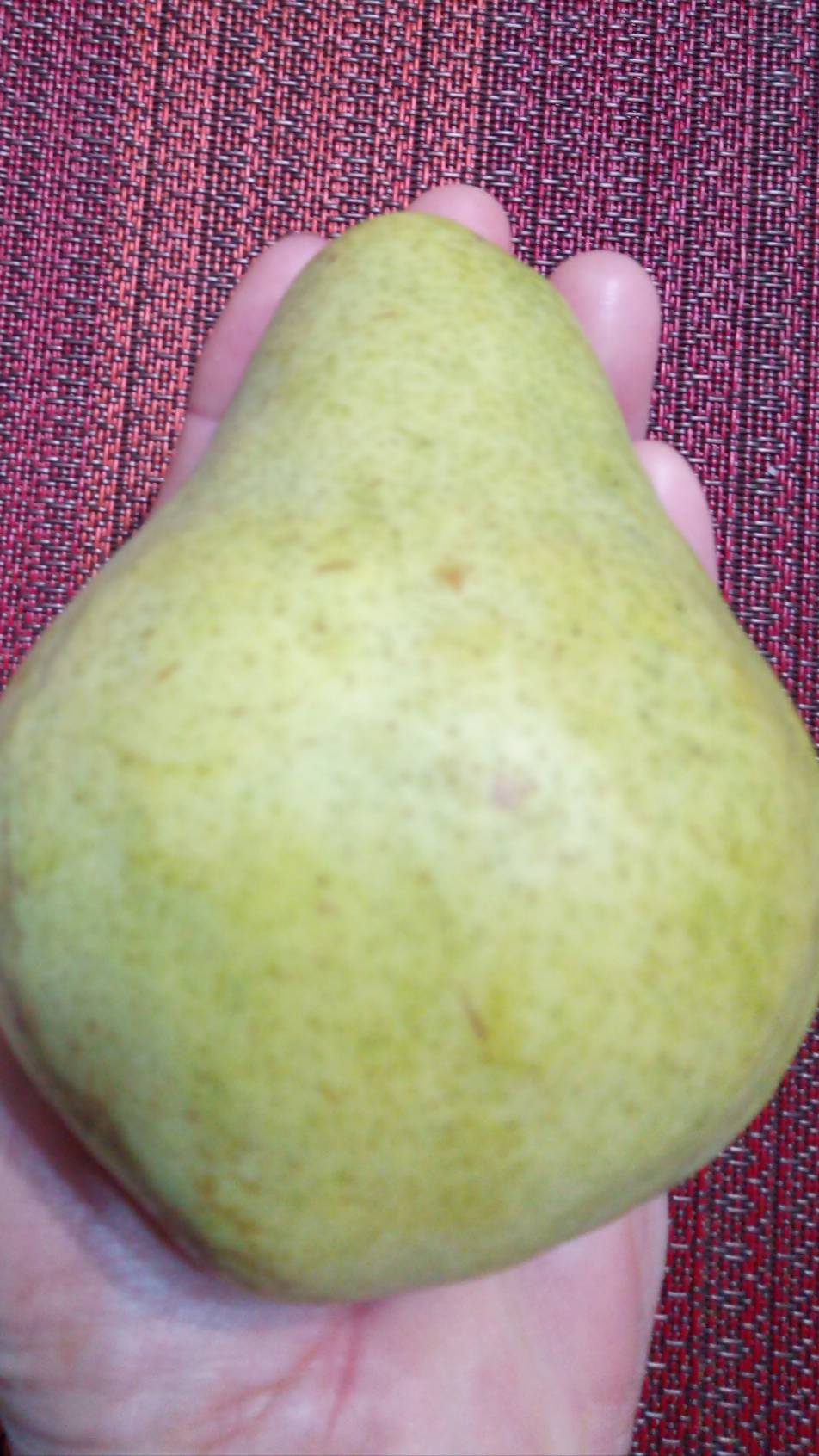 VID_20250824_092617 Груша 