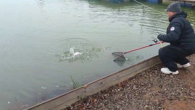 WhatsApp Video 2025-10-07 at 10.11.50 смотреть онлайн