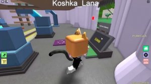 СТРОИМ КОРОЛЕВСТВО ЖИВОТНЫХ! Roblox Animal Kingdom Tycoon
