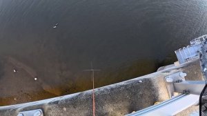 Паук просто трещит. Столько рыбы я ещё не видел,  рыбалка на паук подъемник #рыбалка #낚시 #fishing