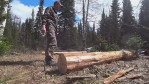 СТРОИТЕЛЬСТВО ТАËЖНОГО ЖИЛЬЯ ИЗ СУХАРНИКА. ОКЛАДНОЙ ВЕНЕЦ. ЖИЗНЬ В ТАЙГЕ.