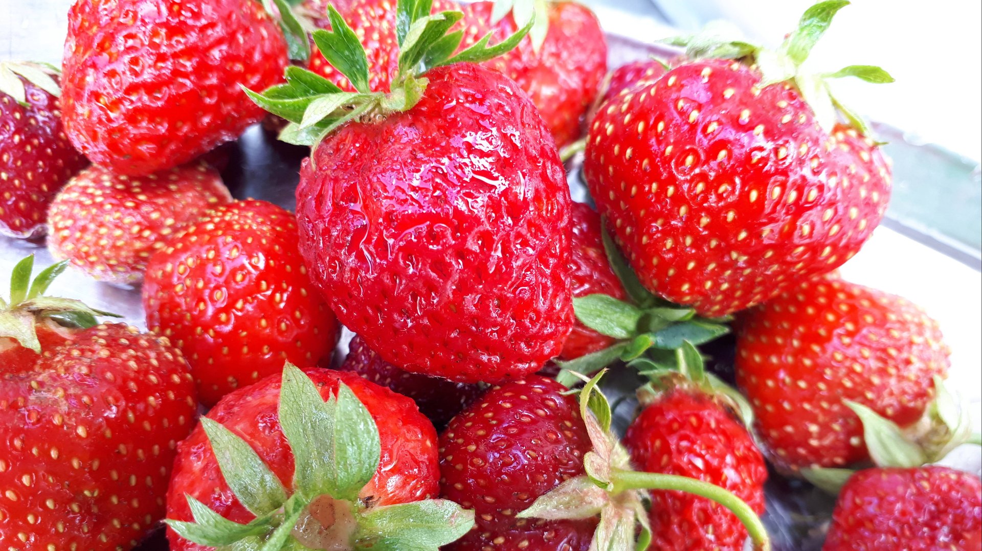 2092.   Как сохранить суровые зимы молодые посадки клубники?