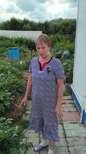 Сорняки не дергаем