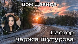Дом Давида 20.01.2023