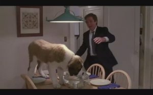 это знает всякий