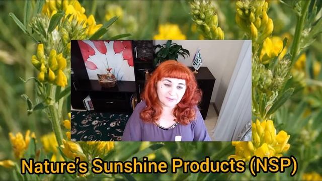 ПАНАЦЕЯ или ДАР БОЖИЙ? ЛЮЦЕРНА (AlfAlfa от NSP). ПОДАГРА,ЛАКТАЦИЯ, МОЧЕВОЙ ПУЗЫРЬ/Анохина.С.Г. смотреть онлайн