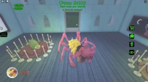 НОВЫЕ СВИНКИ ТОЖЕ ПРОГОЛОДАЛИСЬ!