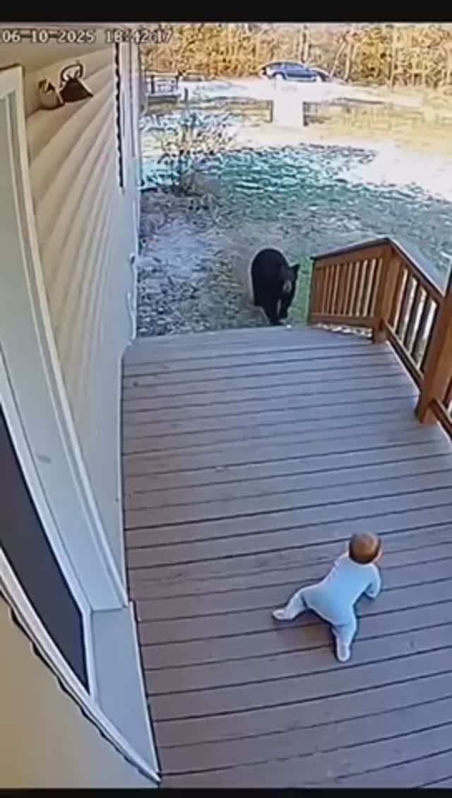 Кот спас ребёнка смотреть онлайн