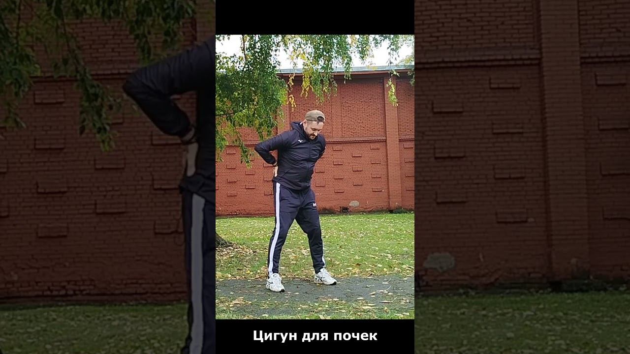 Цигун для почек
